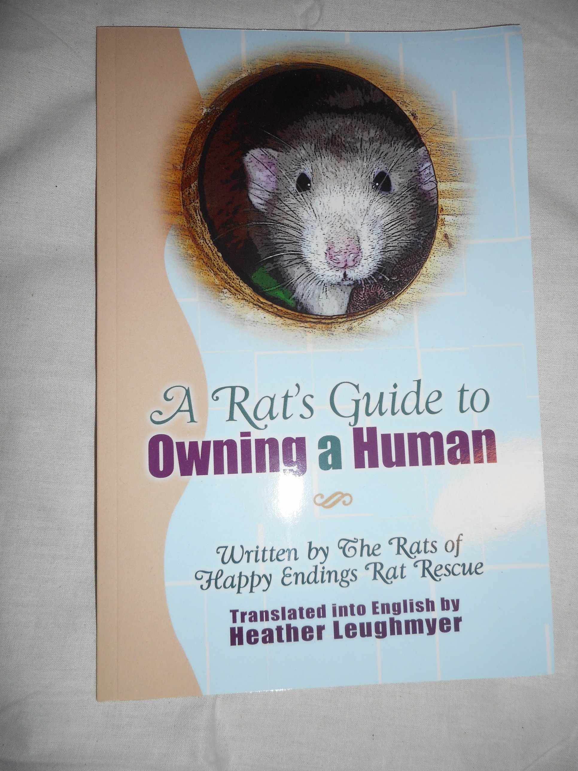 A Rat's Guide to Owning A Human A Rat's Guide to Owning A Human