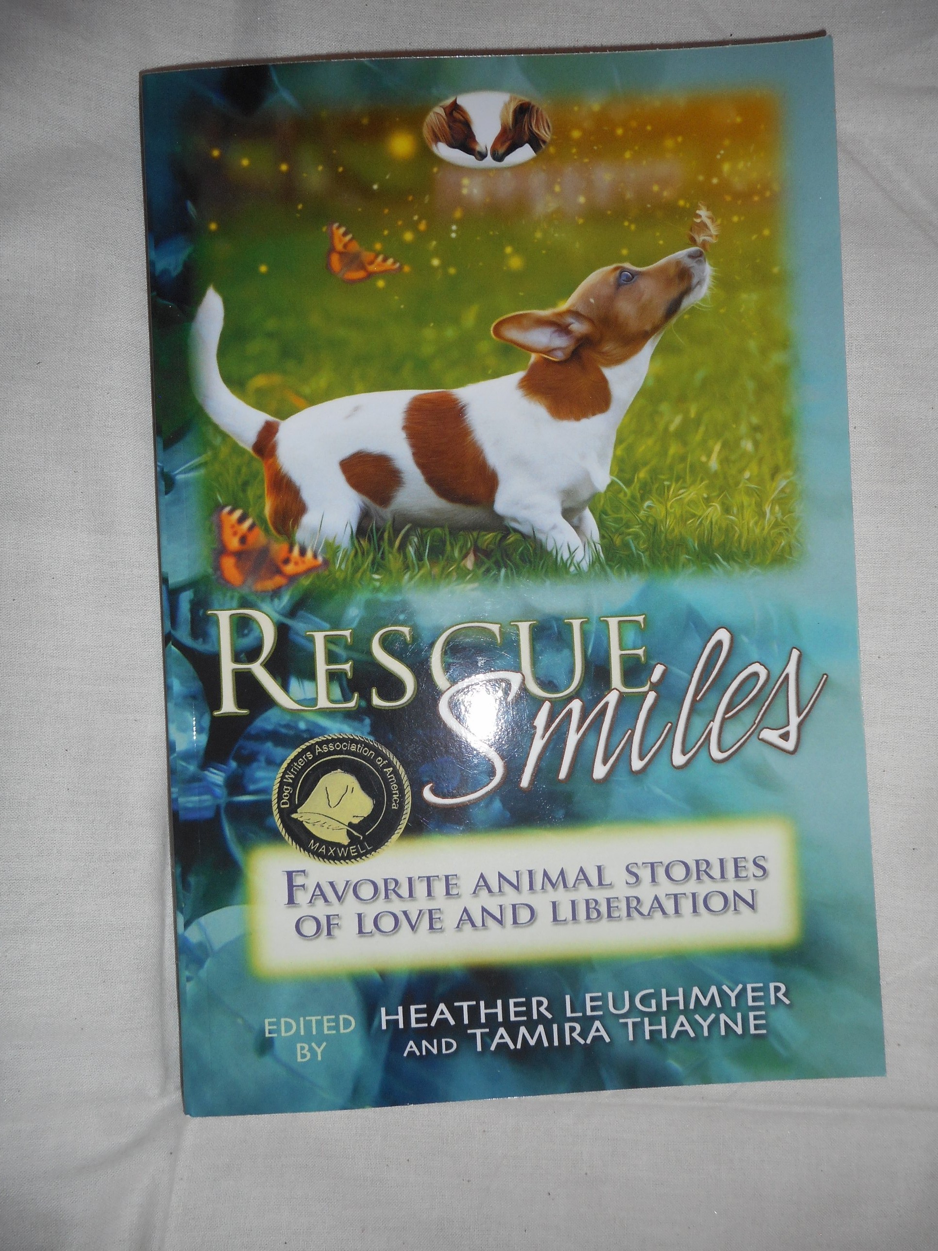 Rescue Smiles Rescue Smiles