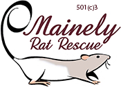 Mainely Rat Rescue Logo